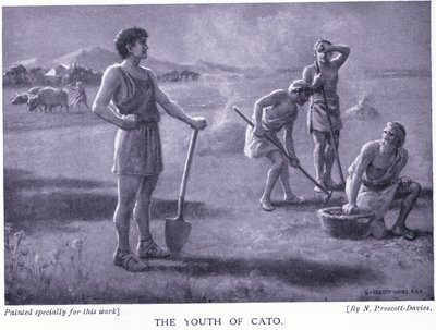 Młodzież Cato autorstwa Norman Prescott Davies