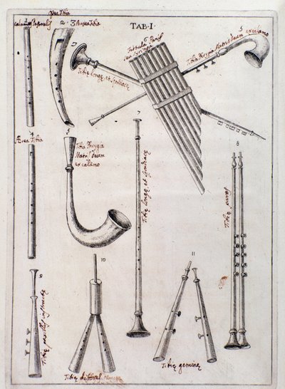 Instrumenty dęte Strona z utworu „Trzy rodzaje instrumentów muzycznych” o dawnych instrumentach autorstwa Francesco Bianchiniego autorstwa Northern Italian School