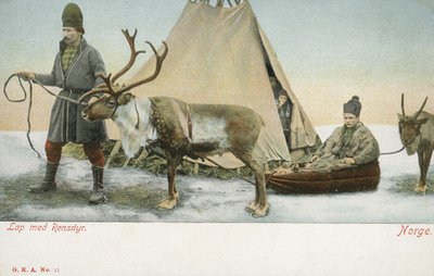 Laponie z reniferami, Norwegia (kolorowe zdjęcie) autorstwa Norwegian Photographer