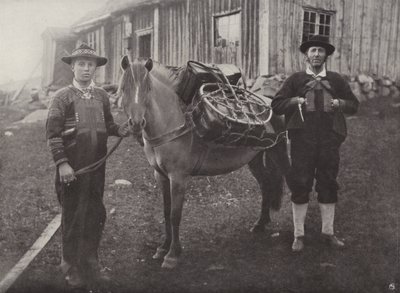 Saetersdalen Highlanders z jucznym koniem autorstwa Norwegian Photographer