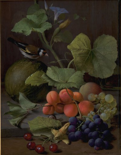 Martwa natura z owocami i szczygieł autorstwa O.D. Ottesen