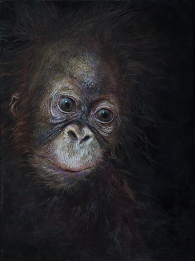 Mały orangutan 3, 2015 (akryl na drewnie) autorstwa Odile Kidd