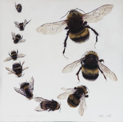 Bombus, 2015 (akryl na drewnie pokrytym gesso) autorstwa Odile Kidd