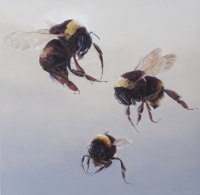 Bombus lot 1, 2011 (akryl na drewnie) autorstwa Odile Kidd