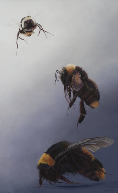 Bombus lot 2, 2011 (akryl na drewnie) autorstwa Odile Kidd