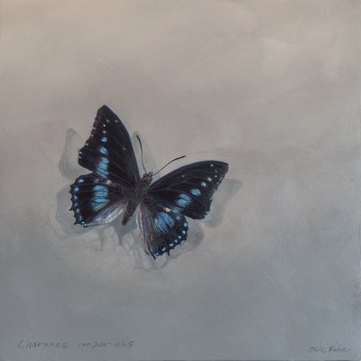 Charaxes imperialis 1 (a), 2014 (akryl na drewnie) autorstwa Odile Kidd