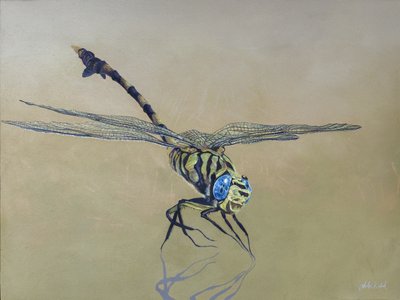 Smocza mucha, 2009 (akryl na drewnie) autorstwa Odile Kidd