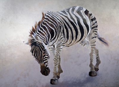 Equus burchelli 2, 2010 (akryl na płótnie) autorstwa Odile Kidd