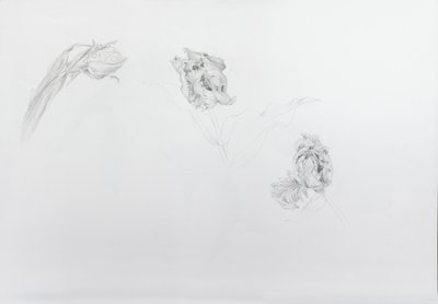Estella rijnveld 1, 2013 (ołówek na papierze) autorstwa Odile Kidd