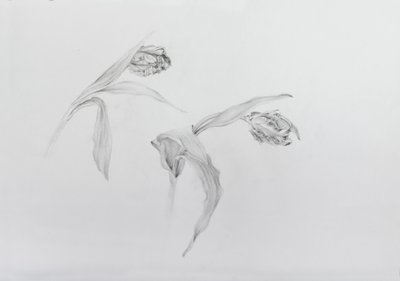 Estella rijnveld 2, 2017 (ołówek na papierze z wkładem) autorstwa Odile Kidd