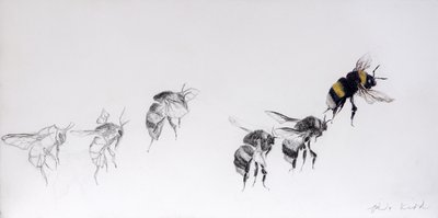 Wzór lotu, 2014 (ołówek, akryl na drewnie gesso) autorstwa Odile Kidd