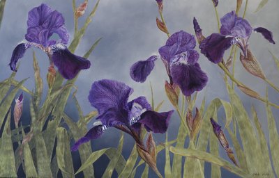 Iris hybrida (detal), 2015 (akryl na drewnie pokrytym gesso) autorstwa Odile Kidd