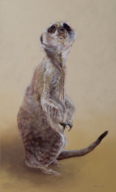Meerkat 2, 2010 (akryl na drewnie) autorstwa Odile Kidd