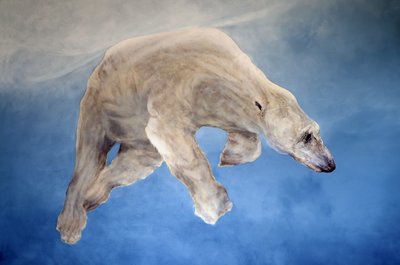 Ursus maritimus 2 (akryl na płótnie gesso) autorstwa Odile Kidd