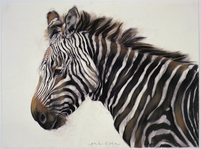 Zebra, 2002 (węgiel i kreda) autorstwa Odile Kidd