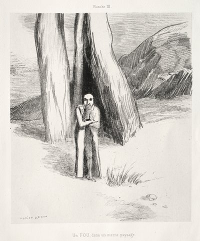 Szaleniec w ponurym krajobrazie autorstwa Odilon Redon
