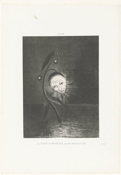 Kwiat bagienny, ludzka i smutna głowa La FLEUR du MARÉCAGE une tête humaine et triste (tytuł przedmiotu) autorstwa Odilon Redon