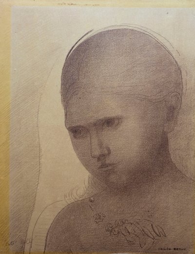 Kobieta w ujęciu z lewej strony w trzech czwartych autorstwa Odilon Redon