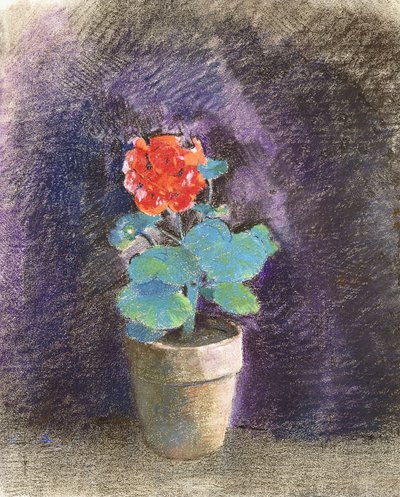 Pelargonia, autorstwa Odilon Redon