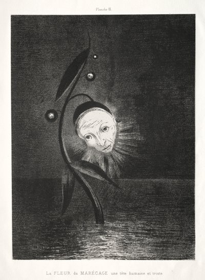 Hołd dla Goi: Kwiat bagienny, smutna ludzka głowa, 1885. autorstwa Odilon Redon