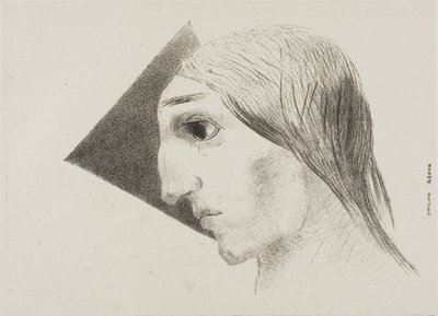 Szaleństwo, płyta szósta od Do Edgara Poe autorstwa Odilon Redon