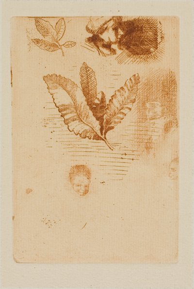 Szkice autorstwa Odilon Redon
