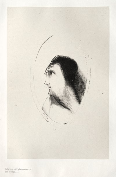 Nawiedzony dom: szerokość i płaskość kości czołowej, 1896. autorstwa Odilon Redon