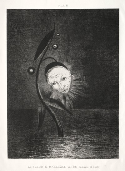 Kwiat bagienny, smutna ludzka głowa autorstwa Odilon Redon