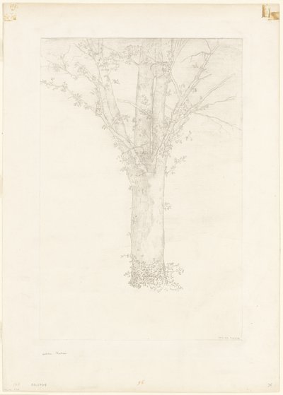 Drzewo autorstwa Odilon Redon