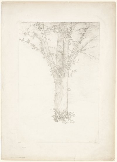 Drzewo autorstwa Odilon Redon