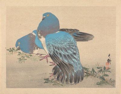  autorstwa Ogata Gekko