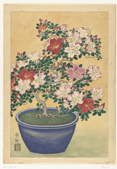 Kwitnąca azalia w niebieskiej doniczce autorstwa Ohara Koson (signed by artist)