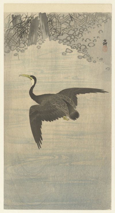 kormoran w locie autorstwa Ohara Koson