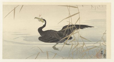 Kormoran z rybą autorstwa Ohara Koson