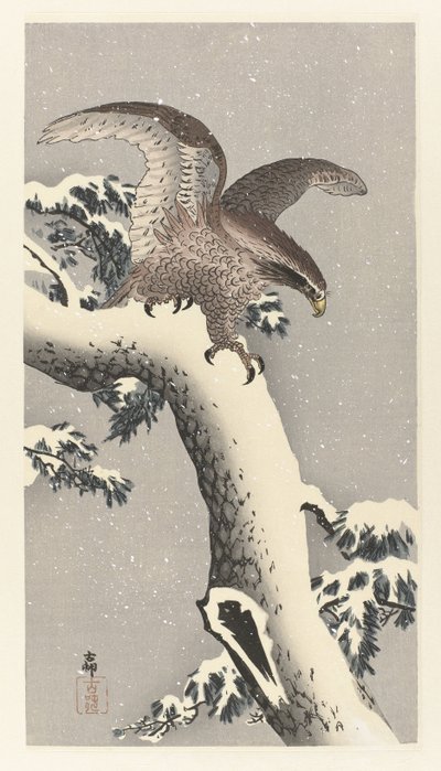 Orzeł na ośnieżonej sośnie autorstwa Ohara Koson
