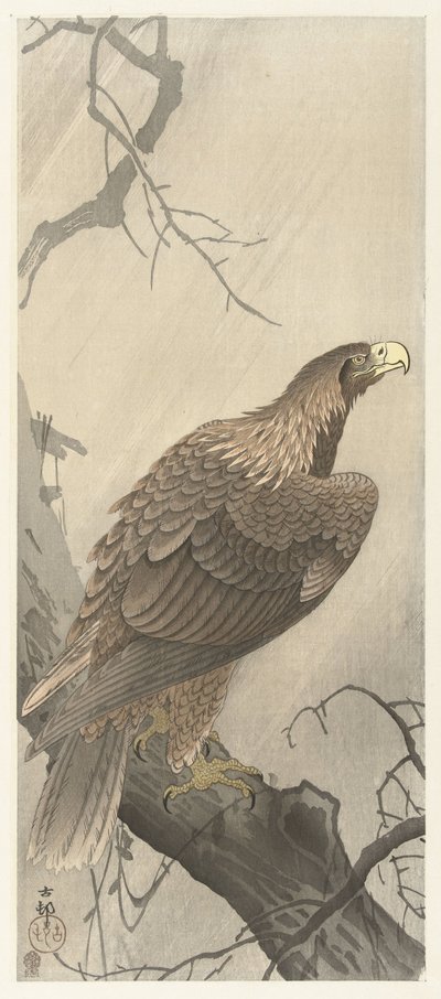 Orzeł na gałęzi drzewa autorstwa Ohara Koson