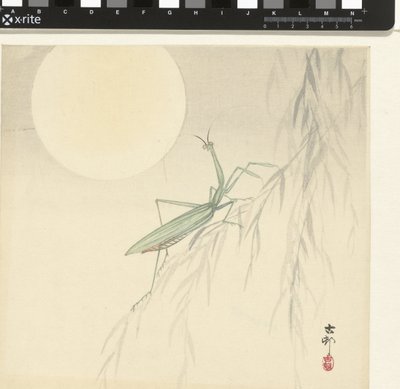 Modliszka autorstwa Ohara Koson