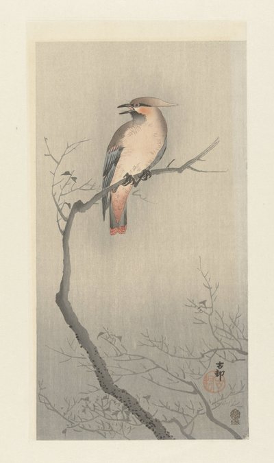 Czeska jemiołuszka na gałęzi autorstwa Ohara Koson