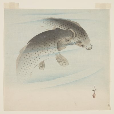 Karp (Koi) (kolorowy drzeworyt) autorstwa Ohara Koson