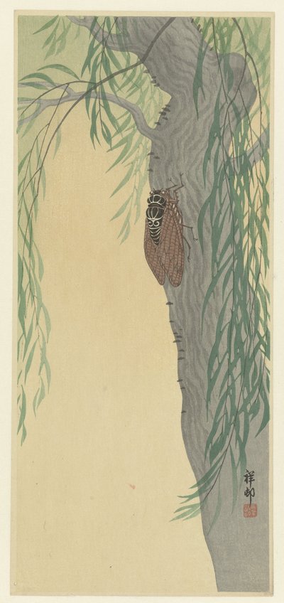 Cykada na drzewie autorstwa Ohara Koson