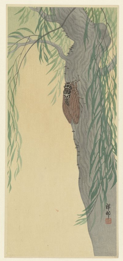 Cykada na drzewie autorstwa Ohara Koson