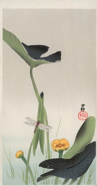 Ważka i Lotos (kolorowy drzeworyt) autorstwa Ohara Koson