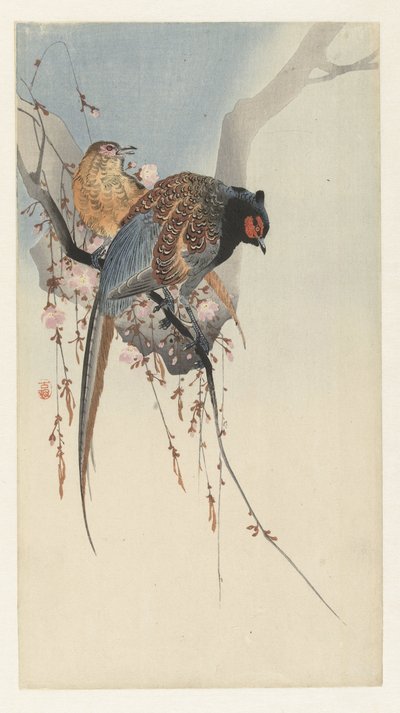 Para bażantów i kwiat śliwy autorstwa Ohara Koson