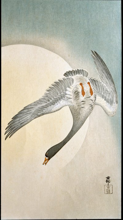 Lot kaczki w świetle księżyca Ksylografia i japońska grafika Ohara Koson (1877-1945) 1908 Kolekcja prywatna DR autorstwa Ohara Koson