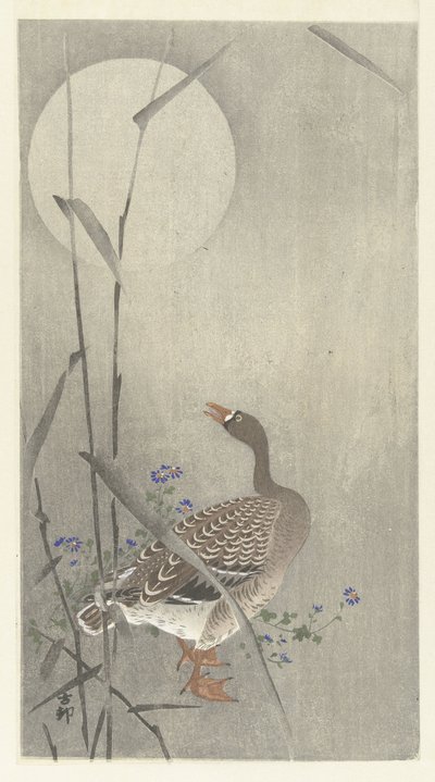 Gęś w pełni księżyca autorstwa Ohara Koson