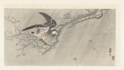 Szary szpak w burzy autorstwa Ohara Koson