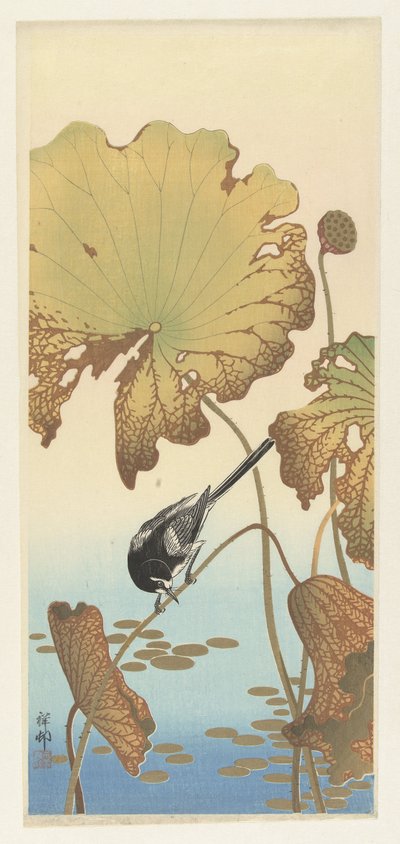 Pliszka japońska na roślinie lotosu autorstwa Ohara Koson