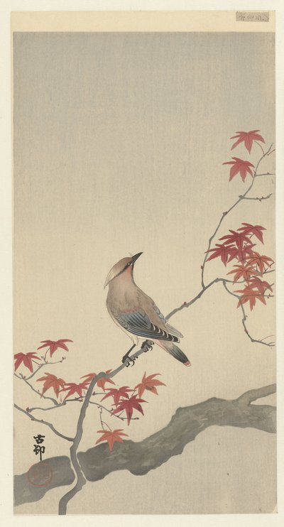 Jemiołuszka japońska na klonie. autorstwa Ohara Koson