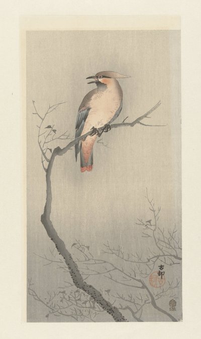 Jemiołuszka japońska na gałęzi autorstwa Ohara Koson