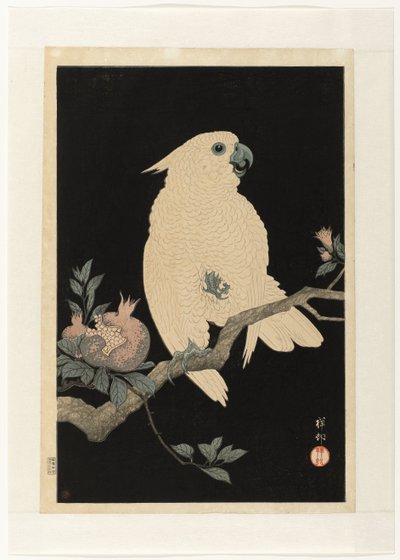 Kakadu z granatem autorstwa Ohara Koson